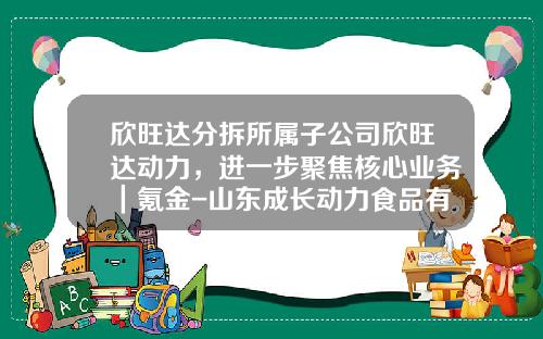 欣旺达分拆所属子公司欣旺达动力，进一步聚焦核心业务｜氪金-山东成长动力食品有限公司