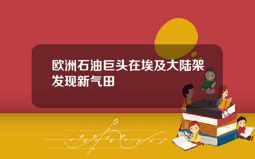 欧洲石油巨头在埃及大陆架发现新气田