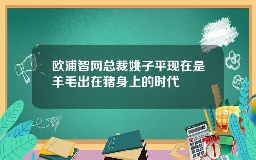 欧浦智网总裁姚子平现在是羊毛出在猪身上的时代