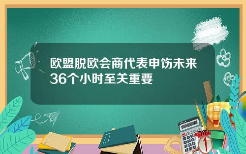 欧盟脱欧会商代表申饬未来36个小时至关重要