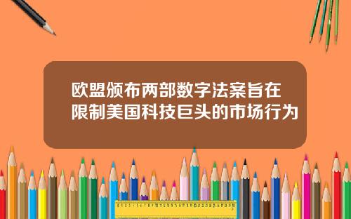 欧盟颁布两部数字法案旨在限制美国科技巨头的市场行为