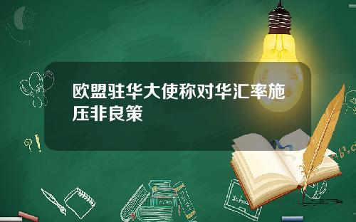 欧盟驻华大使称对华汇率施压非良策