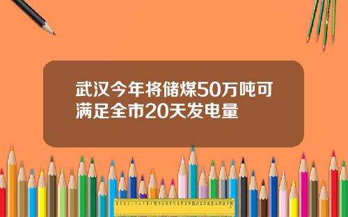 武汉今年将储煤50万吨可满足全市20天发电量