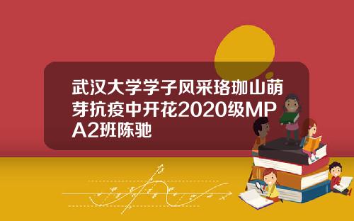 武汉大学学子风采珞珈山萌芽抗疫中开花2020级MPA2班陈驰