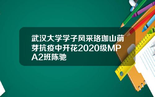 武汉大学学子风采珞珈山萌芽抗疫中开花2020级MPA2班陈驰