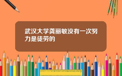 武汉大学龚丽敏没有一次努力是徒劳的