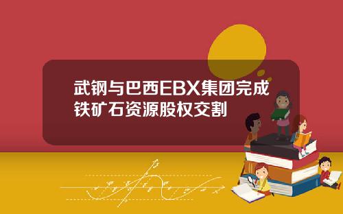 武钢与巴西EBX集团完成铁矿石资源股权交割
