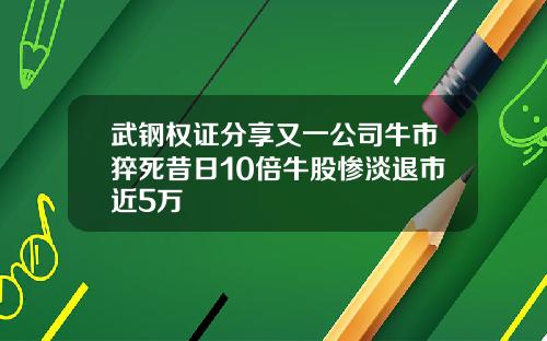 武钢权证分享又一公司牛市猝死昔日10倍牛股惨淡退市近5万