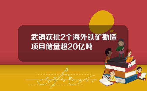 武钢获批2个海外铁矿勘探项目储量超20亿吨