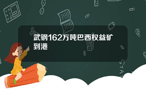 武钢162万吨巴西权益矿到港