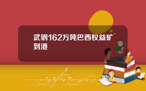 武钢162万吨巴西权益矿到港