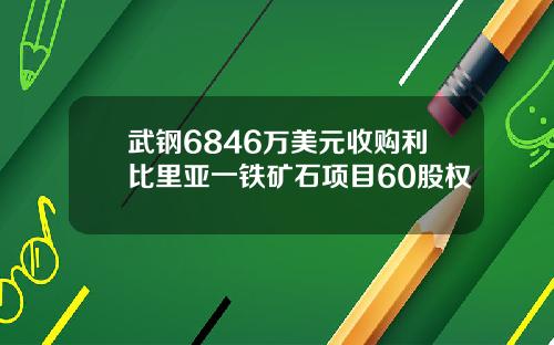 武钢6846万美元收购利比里亚一铁矿石项目60股权