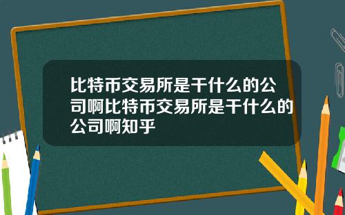 比特币交易所是干什么的公司啊比特币交易所是干什么的公司啊知乎