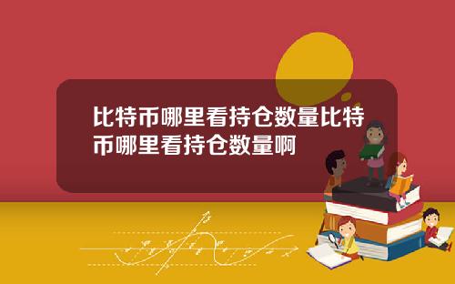 比特币哪里看持仓数量比特币哪里看持仓数量啊