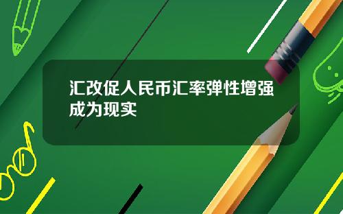汇改促人民币汇率弹性增强成为现实