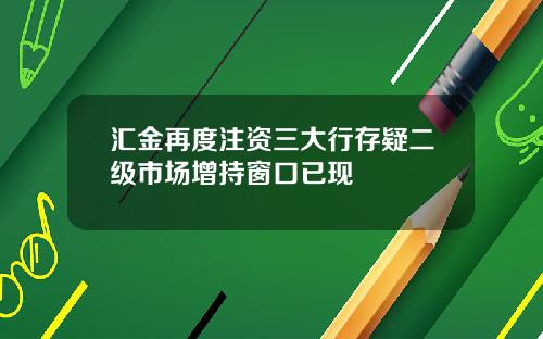 汇金再度注资三大行存疑二级市场增持窗口已现