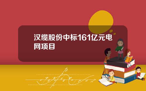 汉缆股份中标161亿元电网项目