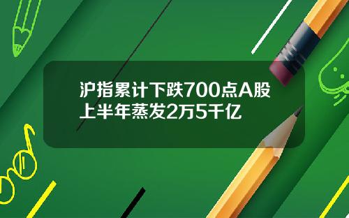 沪指累计下跌700点A股上半年蒸发2万5千亿