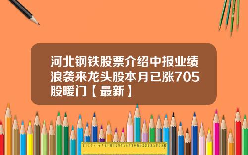 河北钢铁股票介绍中报业绩浪袭来龙头股本月已涨705股暖门【最新】