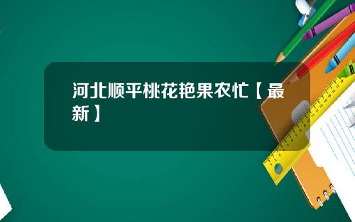 河北顺平桃花艳果农忙【最新】