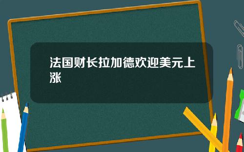 法国财长拉加德欢迎美元上涨
