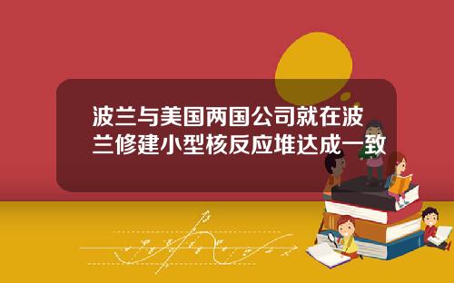 波兰与美国两国公司就在波兰修建小型核反应堆达成一致