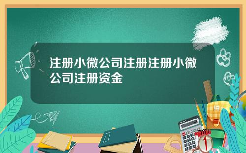 注册小微公司注册注册小微公司注册资金