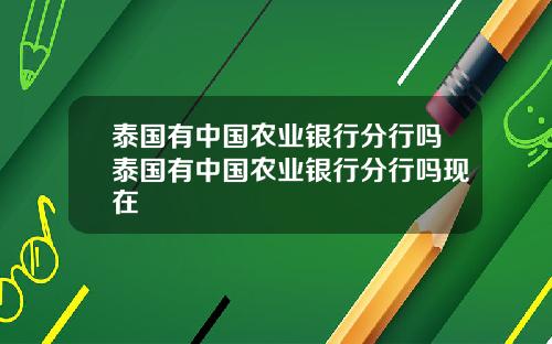 泰国有中国农业银行分行吗泰国有中国农业银行分行吗现在