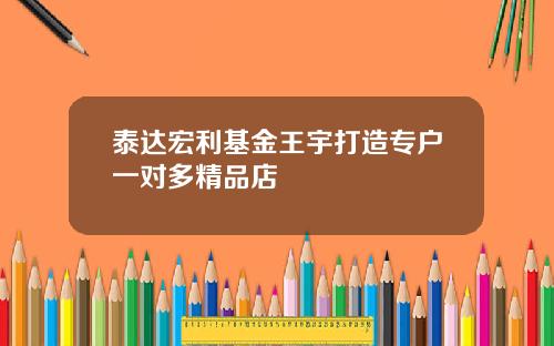 泰达宏利基金王宇打造专户一对多精品店