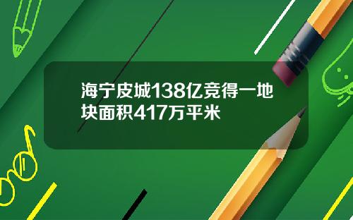海宁皮城138亿竞得一地块面积417万平米