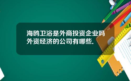 海鸥卫浴是外商投资企业吗外资经济的公司有哪些.