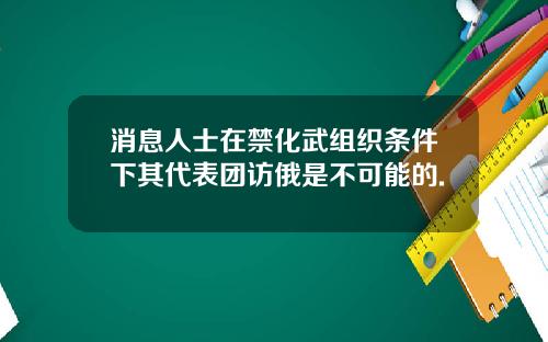 消息人士在禁化武组织条件下其代表团访俄是不可能的.