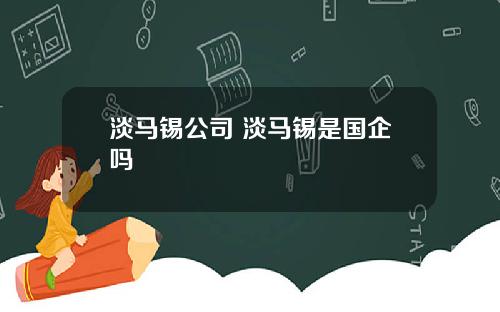 淡马锡公司 淡马锡是国企吗