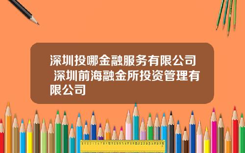 深圳投哪金融服务有限公司 深圳前海融金所投资管理有限公司
