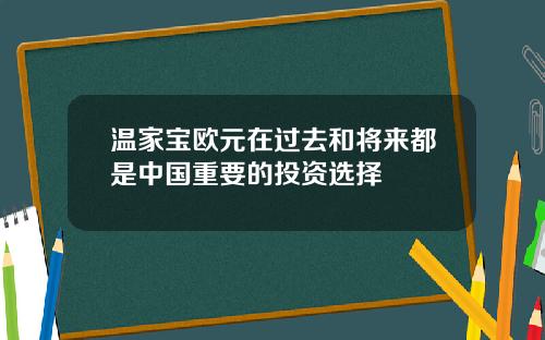 温家宝欧元在过去和将来都是中国重要的投资选择