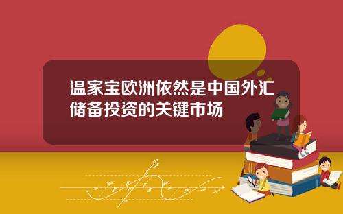 温家宝欧洲依然是中国外汇储备投资的关键市场