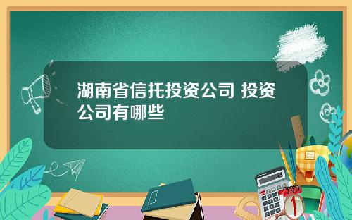 湖南省信托投资公司 投资公司有哪些