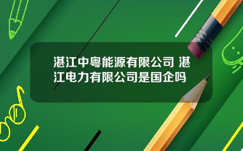湛江中粤能源有限公司 湛江电力有限公司是国企吗