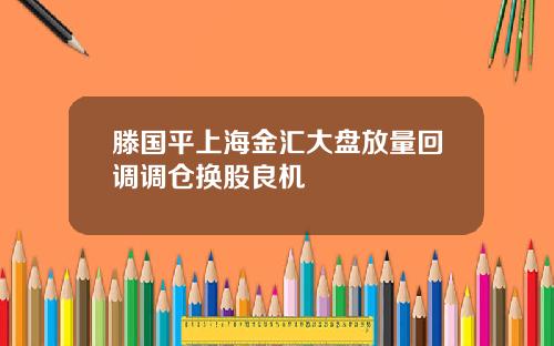 滕国平上海金汇大盘放量回调调仓换股良机