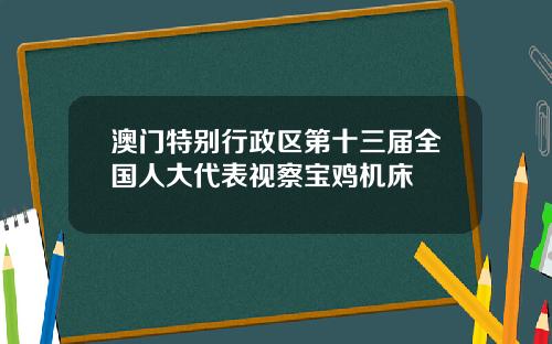 澳门特别行政区第十三届全国人大代表视察宝鸡机床