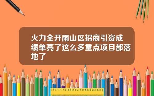 火力全开雨山区招商引资成绩单亮了这么多重点项目都落地了