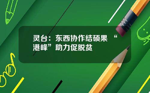 灵台：东西协作结硕果 “港峰”助力促脱贫