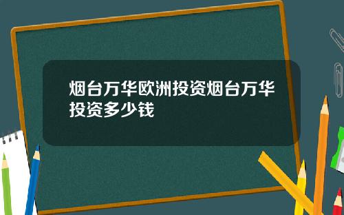 烟台万华欧洲投资烟台万华投资多少钱