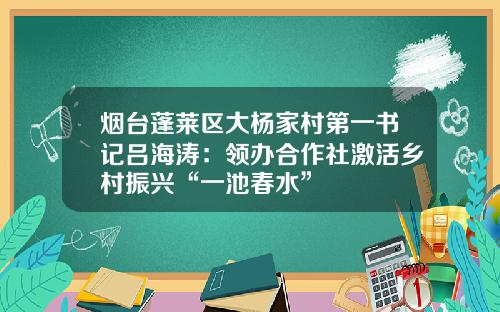 烟台蓬莱区大杨家村第一书记吕海涛：领办合作社激活乡村振兴“一池春水”
