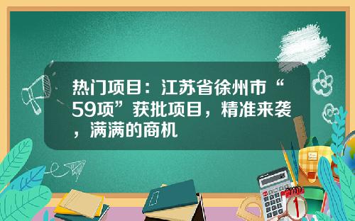 热门项目：江苏省徐州市“59项”获批项目，精准来袭，满满的商机