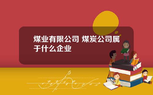 煤业有限公司 煤炭公司属于什么企业