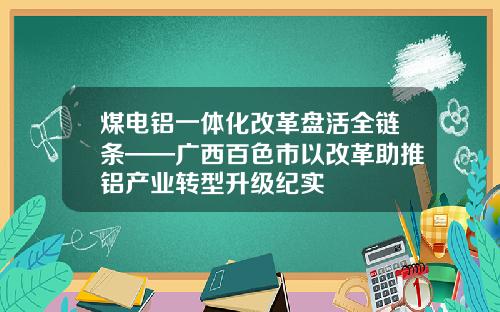 煤电铝一体化改革盘活全链条——广西百色市以改革助推铝产业转型升级纪实