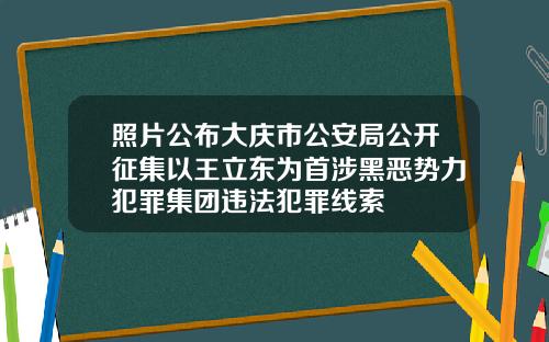 照片公布大庆市公安局公开征集以王立东为首涉黑恶势力犯罪集团违法犯罪线索