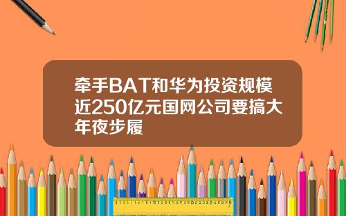 牵手BAT和华为投资规模近250亿元国网公司要搞大年夜步履