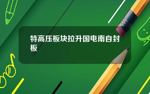 特高压板块拉升国电南自封板